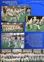 Shibamori Semin�rium